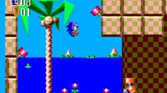 Screenshot for Sonic the Hedgehog Chaos