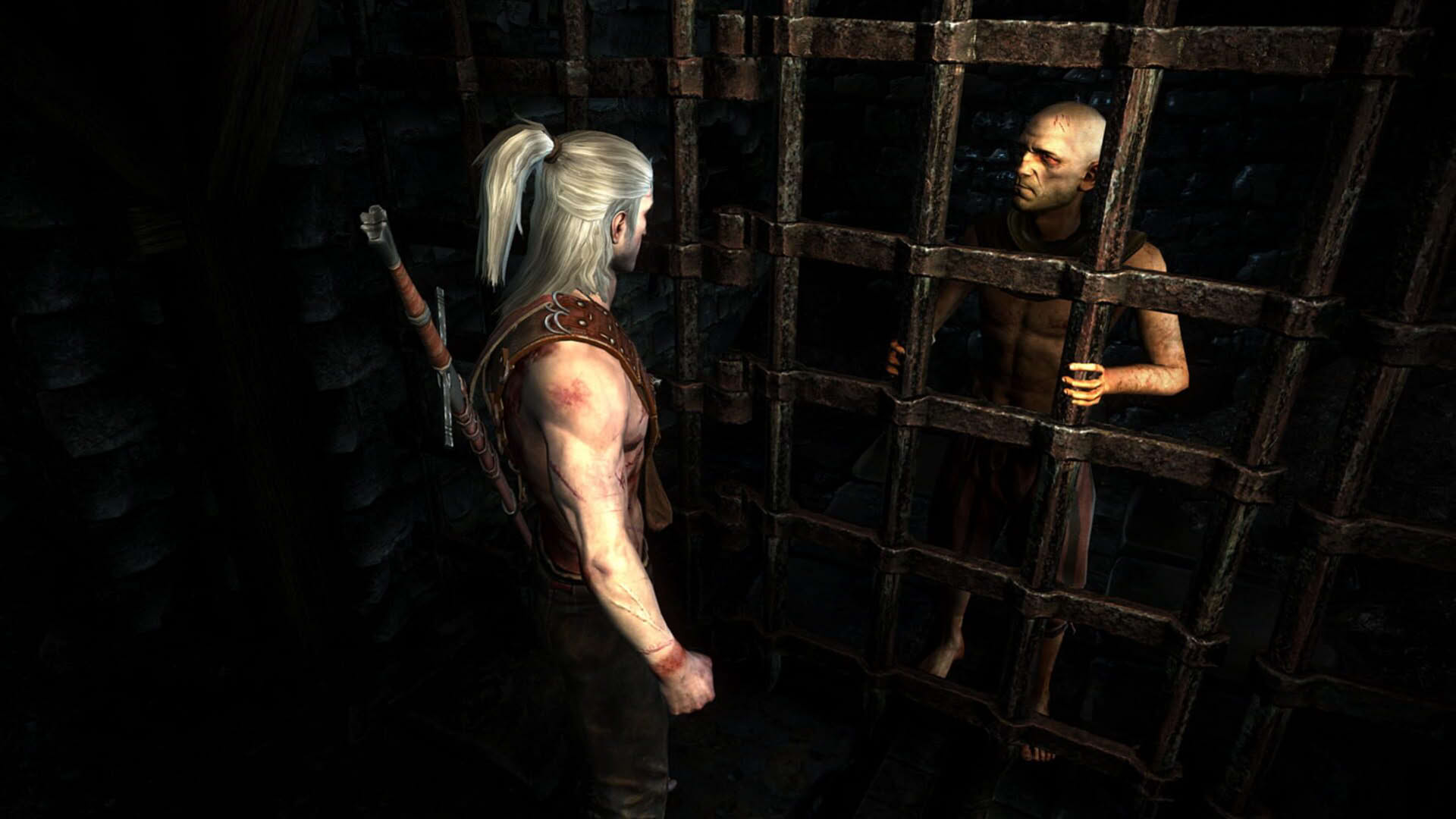 Screenshot for The Witcher 2: Assassins of Kings
