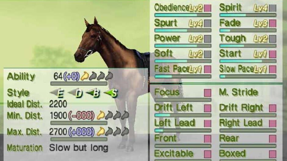 Screenshot for G1 Jockey Wii 2008
