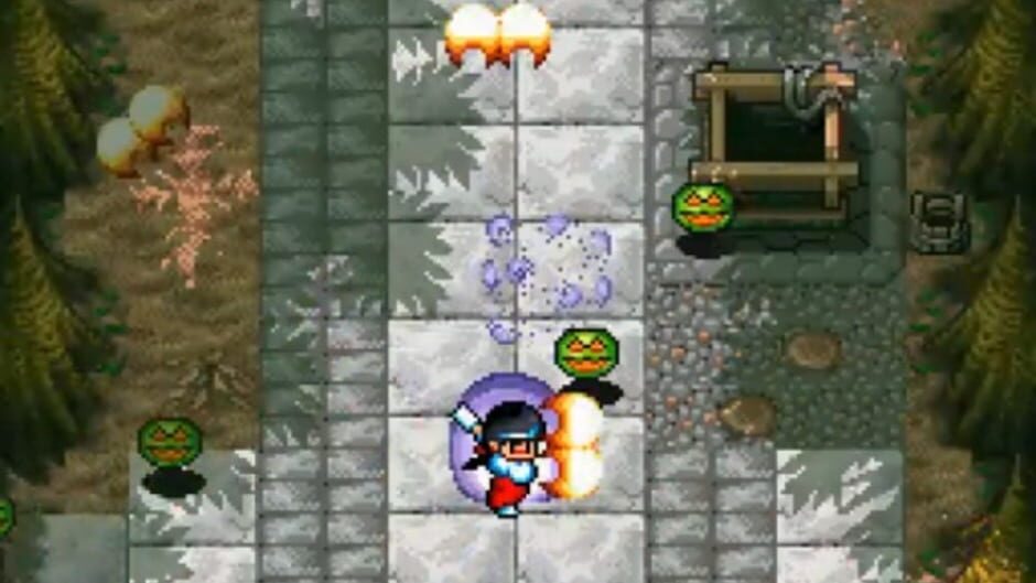 Screenshot for Pocky & Rocky