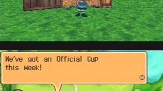 Screenshot for Monster Rancher DS