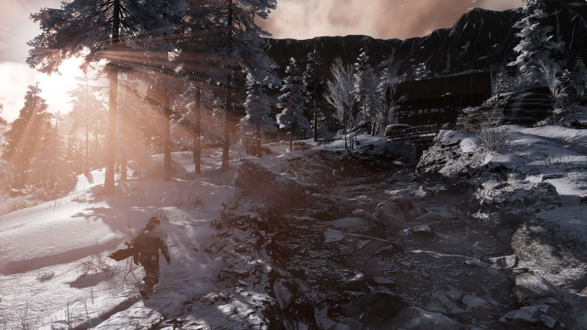 Screenshot for Fade to Silence