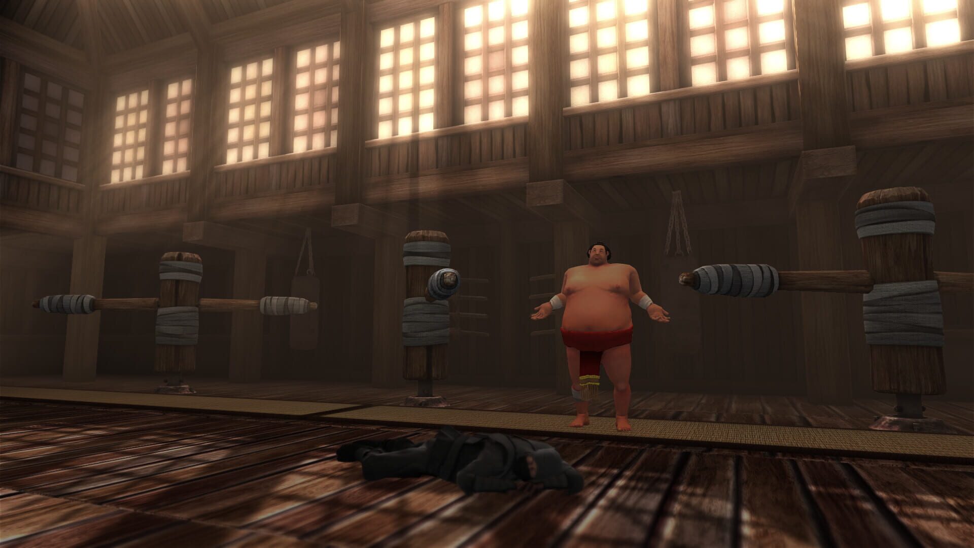 Screenshot for Sumoman