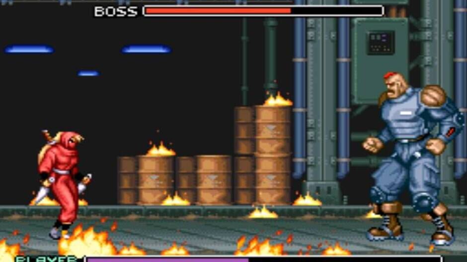 Screenshot for Ninja Warriors