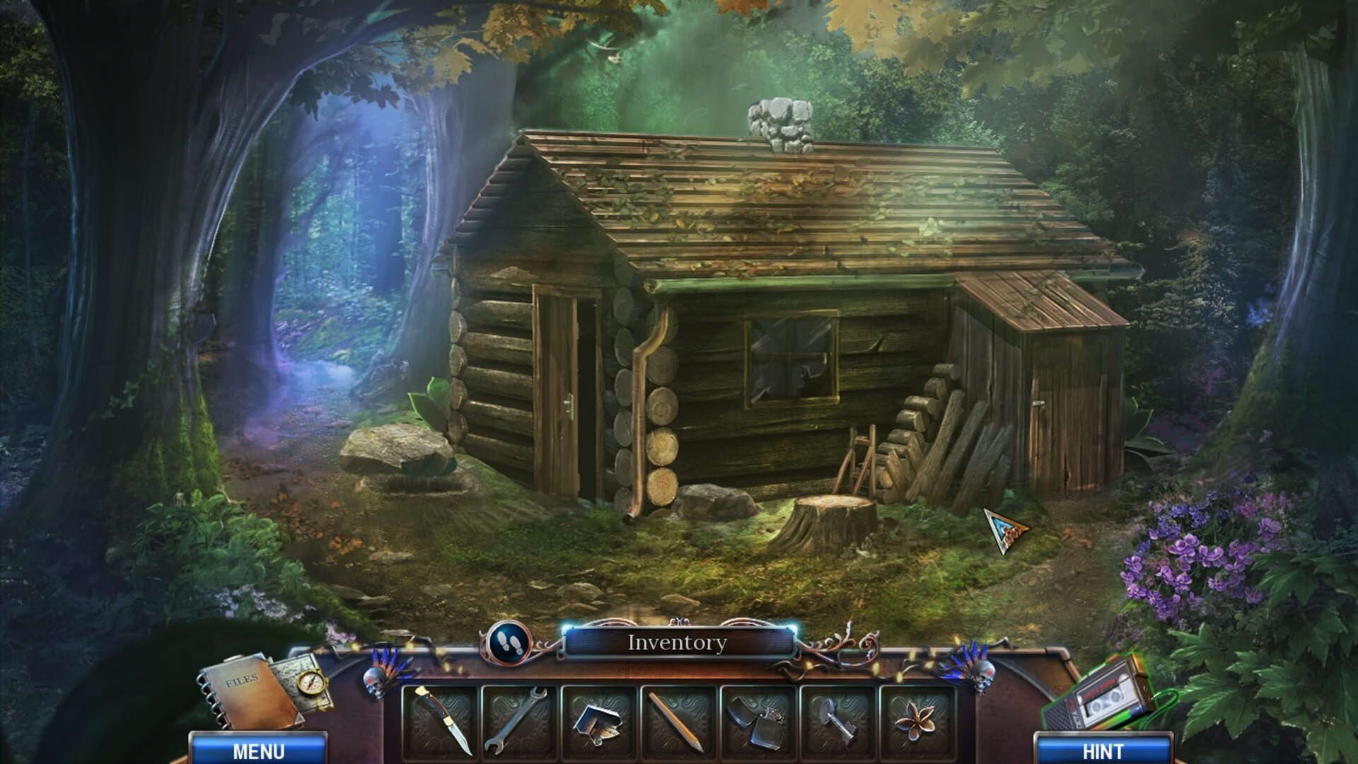 Screenshot for Alicia Griffith: Lakeside Murder