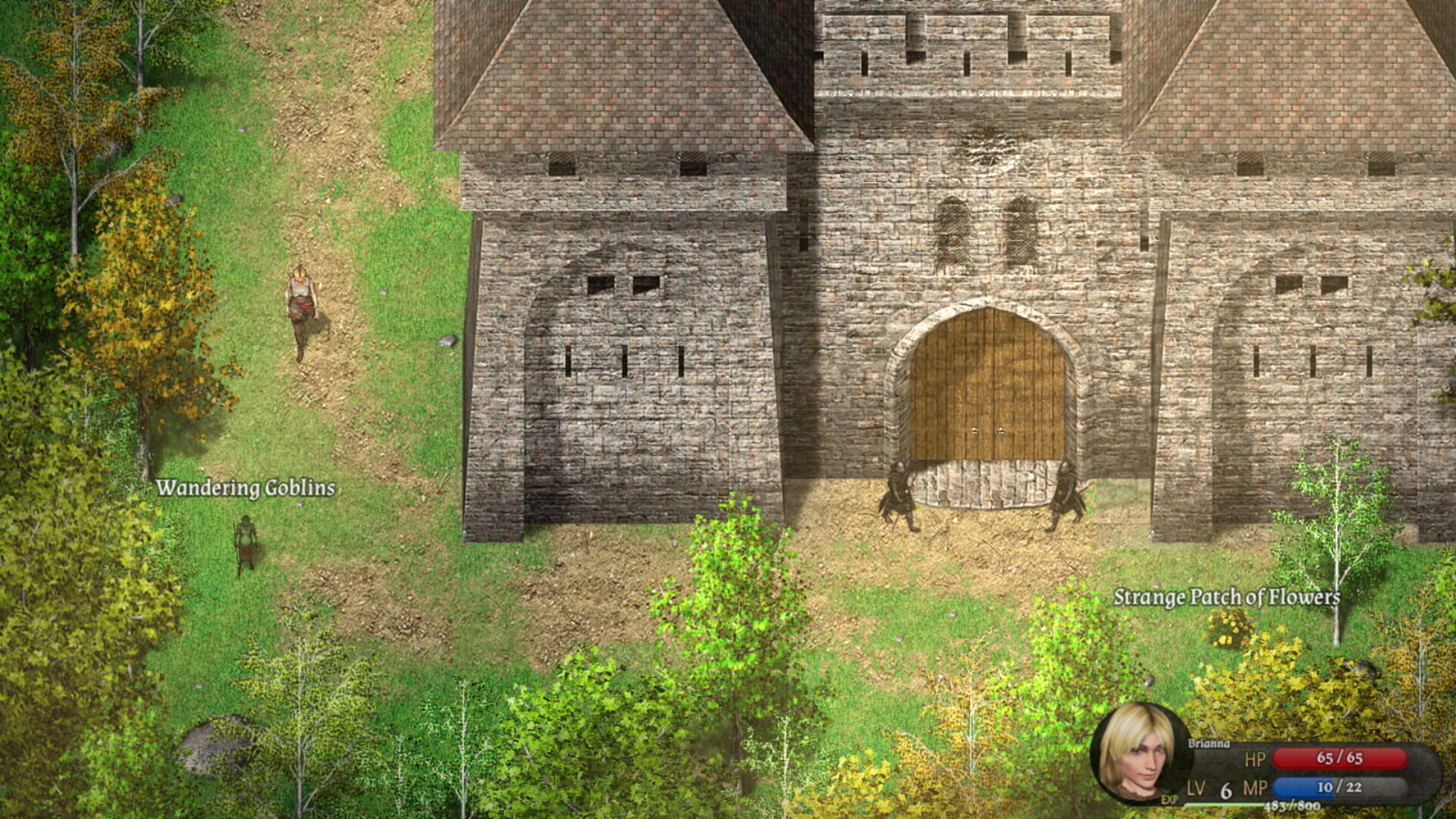 Screenshot for Cavern of Time