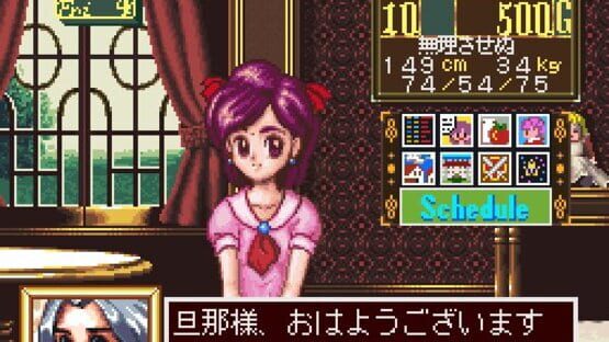 Screenshot for Princess Maker: Legend of Another World