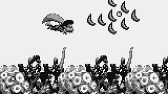 Screenshot for Donkey Kong Land III