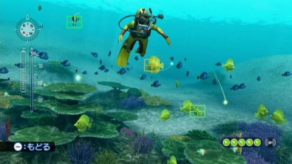 Screenshot for Endless Ocean: Blue World