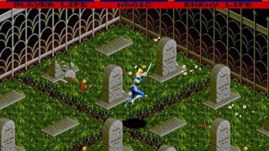 Screenshot for Light Crusader
