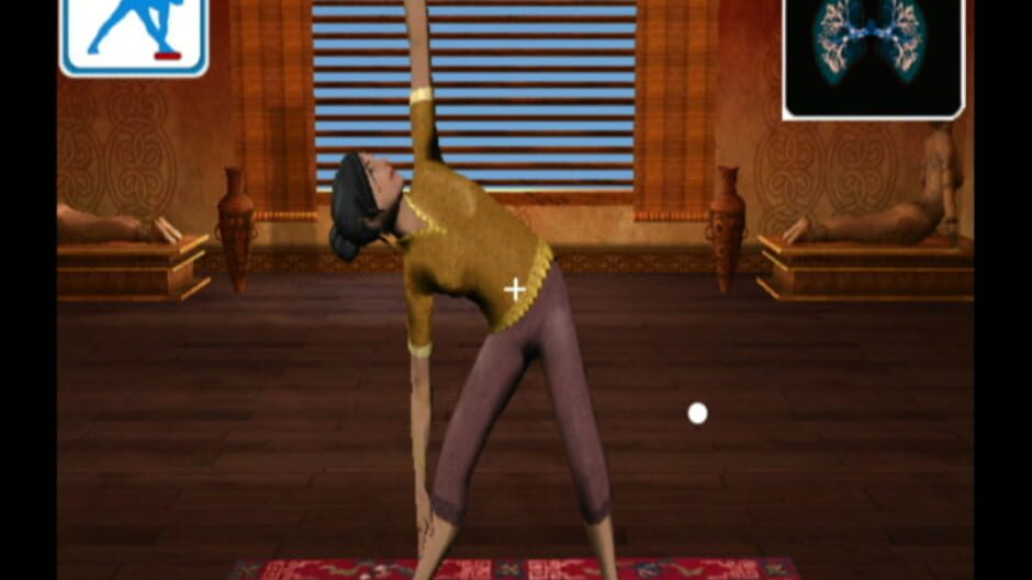 Screenshot for Yoga Wii