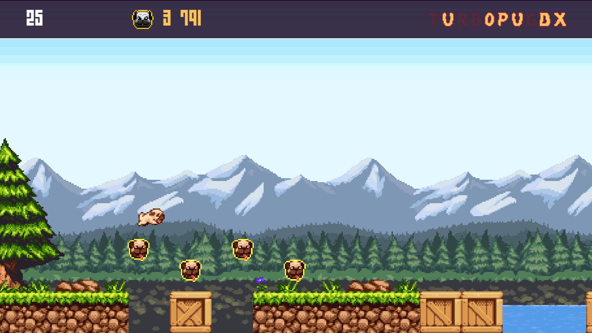 Screenshot for Turbo Pug DX
