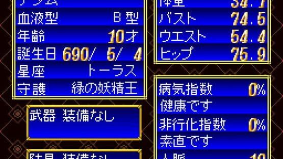 Screenshot for Princess Maker: Legend of Another World