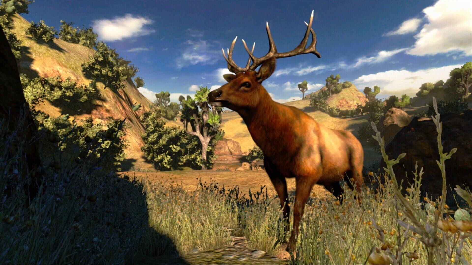 Screenshot for Cabela's Hunting Expeditions