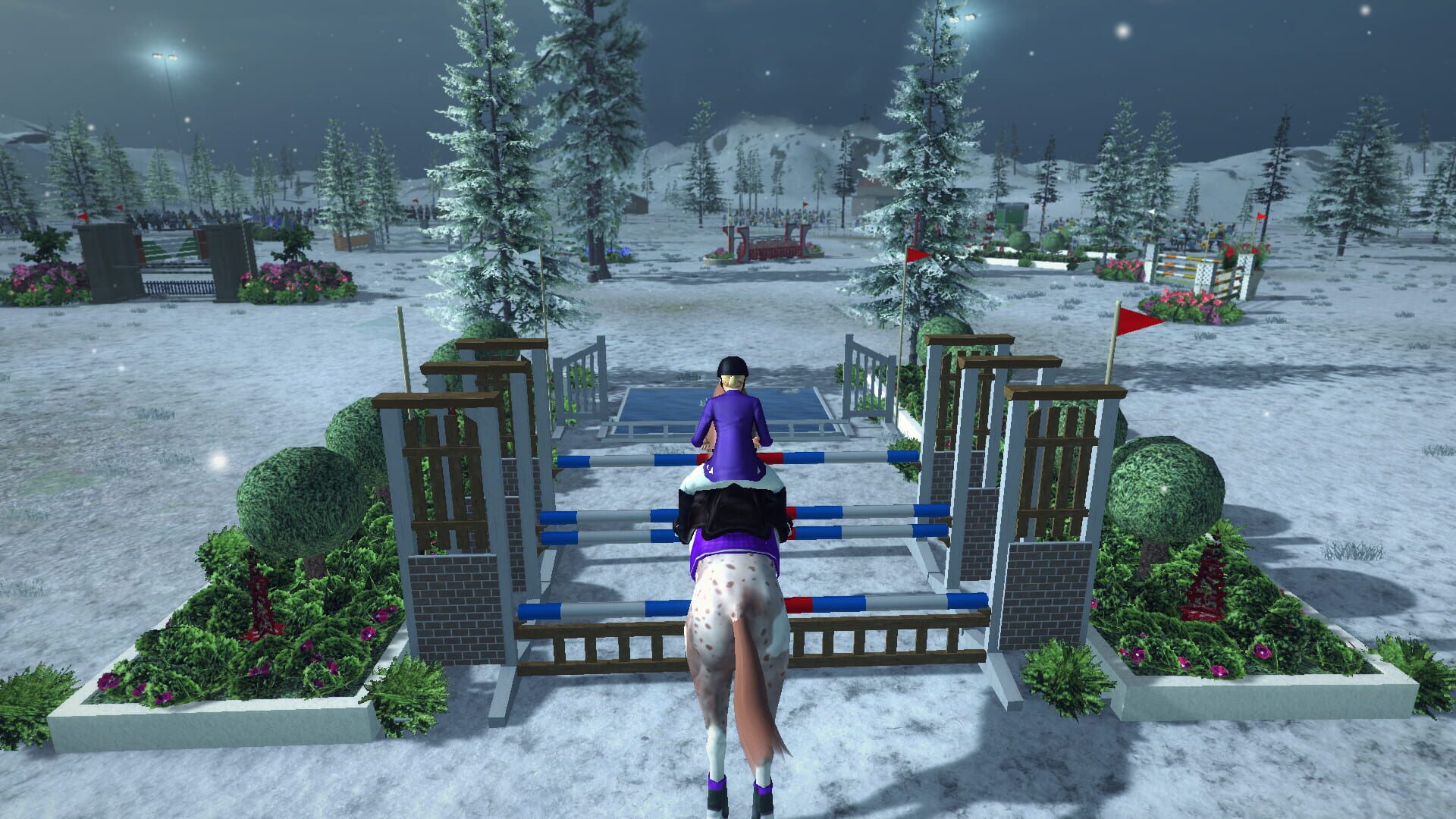 Screenshot for Riding Club Championships