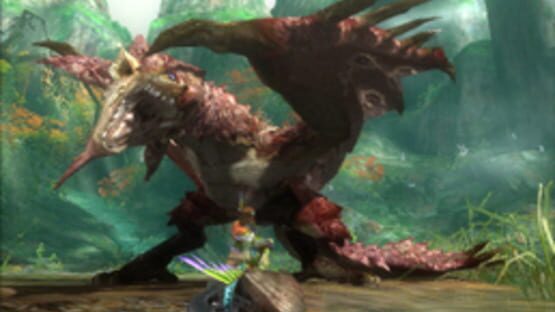 Screenshot for Monster Hunter Tri G