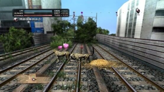 Screenshot for Tokyo Jungle