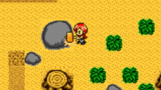 Screenshot for Harvest Moon 2 GBC