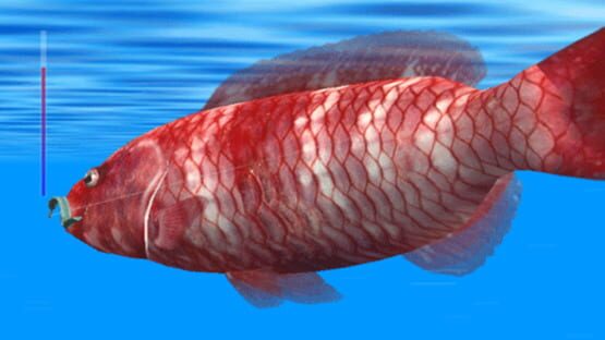 Screenshot for Reel Fishing: Ocean Challenge