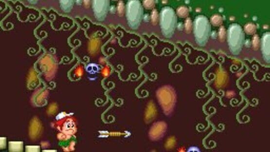 Screenshot for New Adventure Island