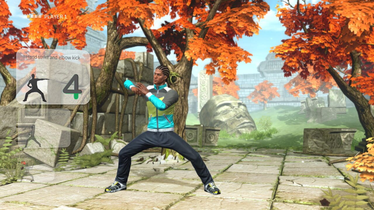 Screenshot for Your Shape Fitness Evolved 2013