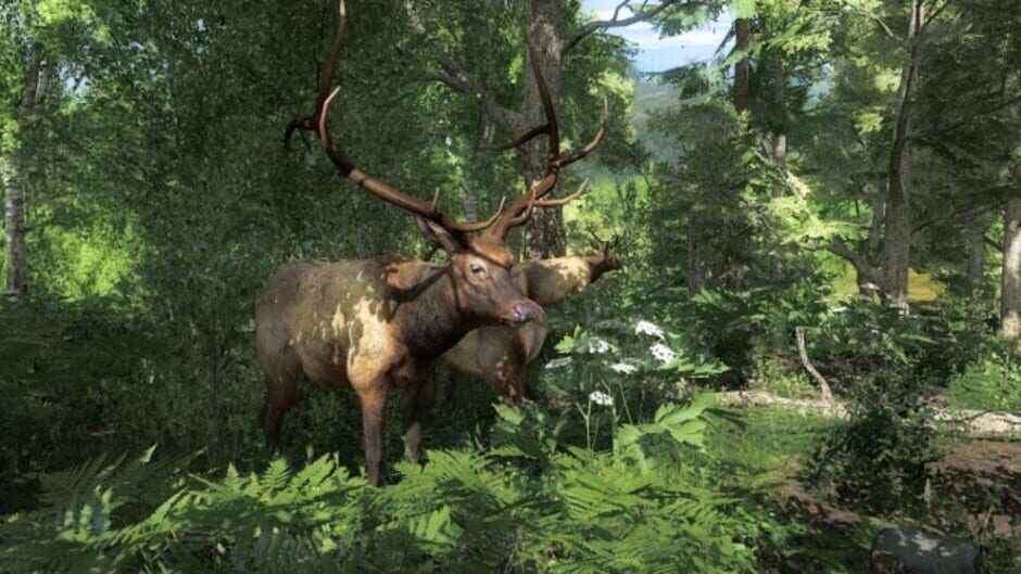 Screenshot for TheHunter Classic