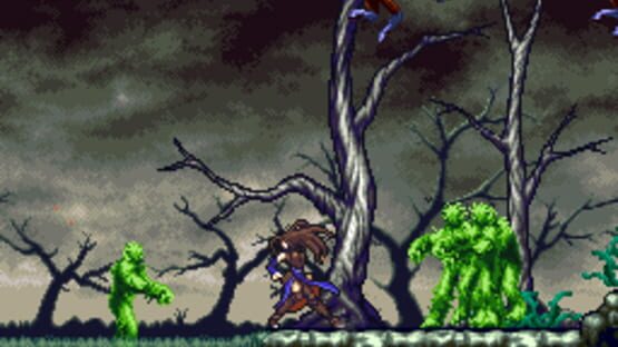 Screenshot for Castlevania: Order of Ecclesia
