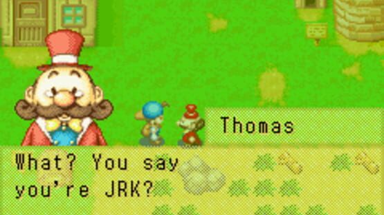 Screenshot for Harvest Moon: Friends of Mineral Town