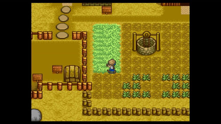 Screenshot for Harvest Moon
