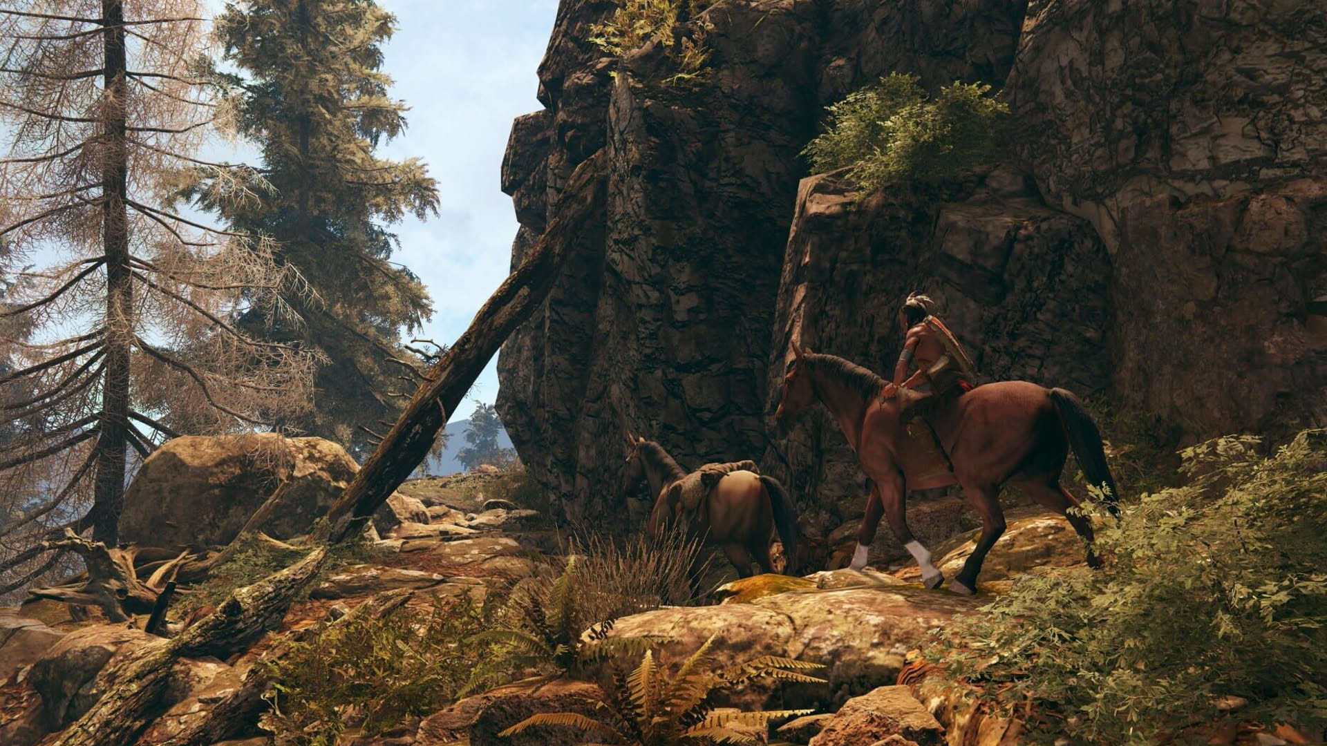 Screenshot for This Land Is My Land