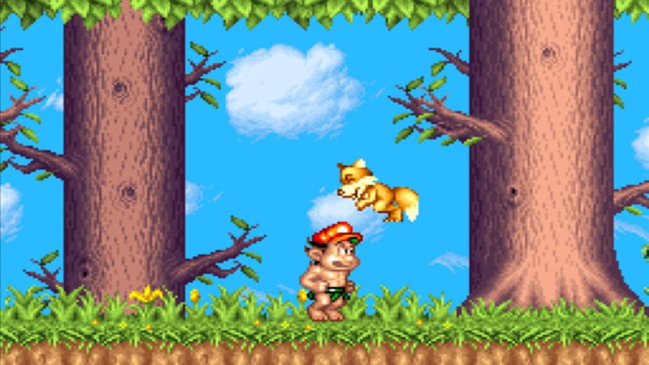 Screenshot for Super Adventure Island II