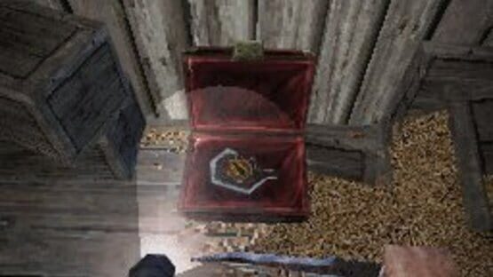 Screenshot for Dementium II