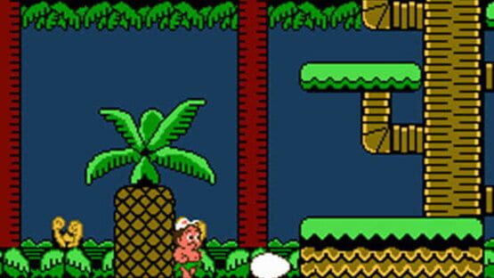 Screenshot for Adventure Island II