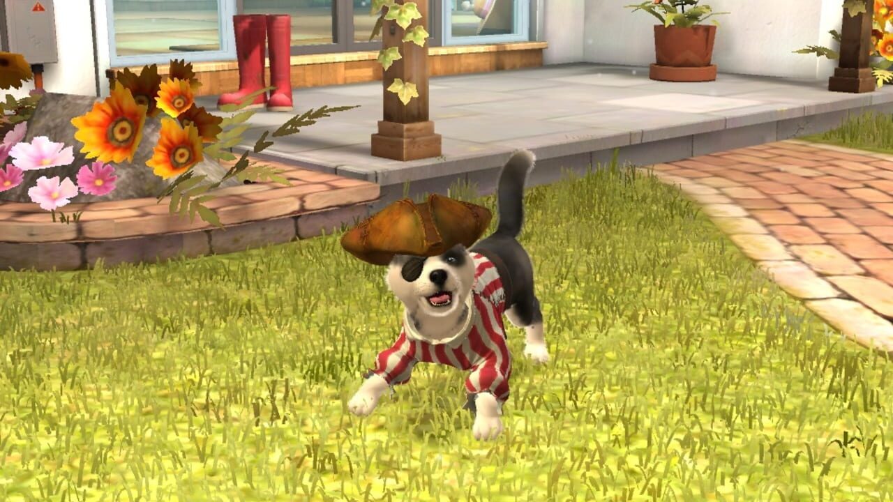Screenshot for PlayStation Vita Pets