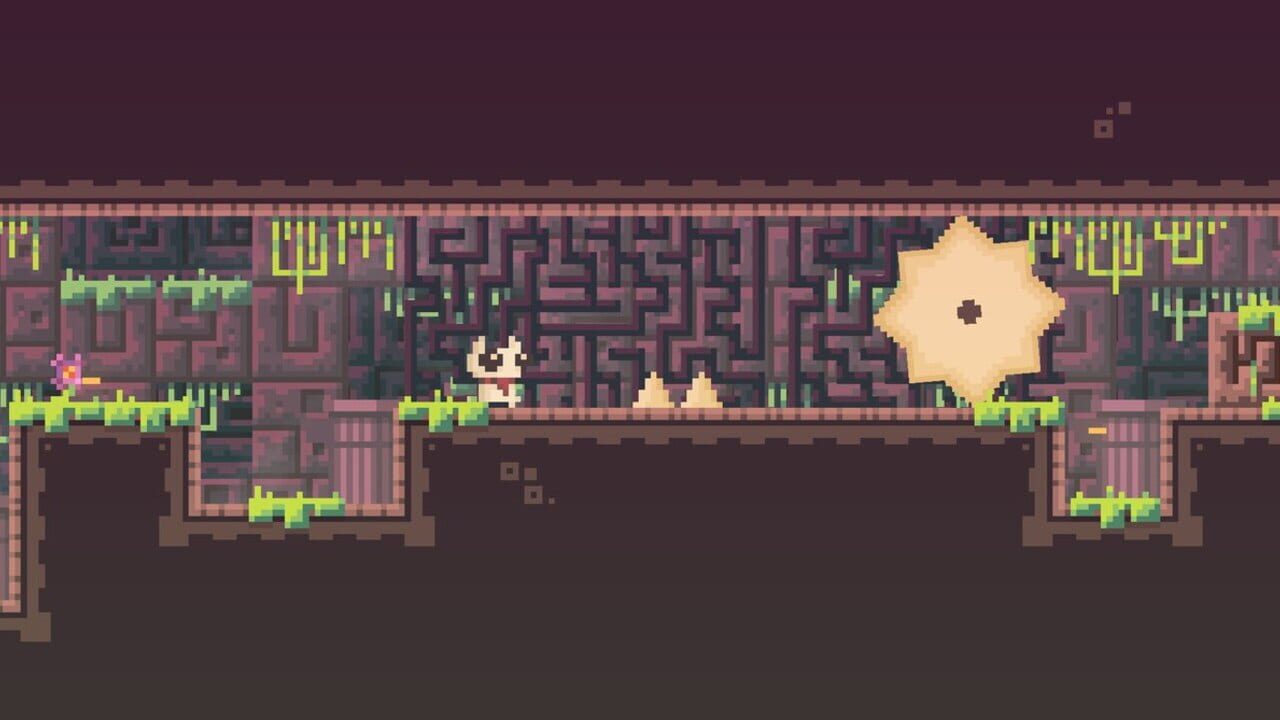 Screenshot for Reed