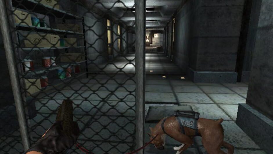 Screenshot for Geist