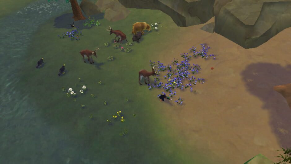 Screenshot for SimAnimals