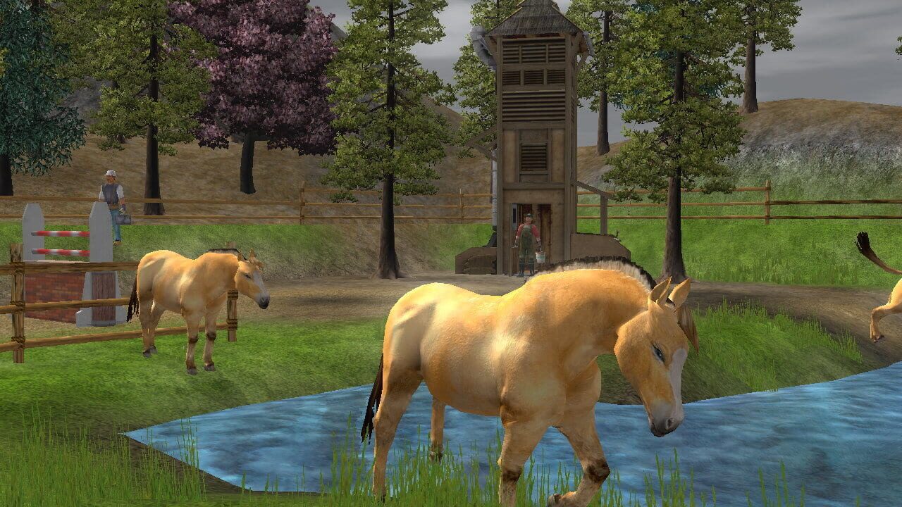 Screenshot for Wildlife Park 2 - Horses