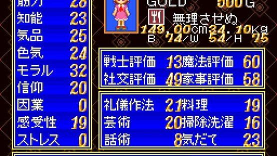 Screenshot for Princess Maker: Legend of Another World