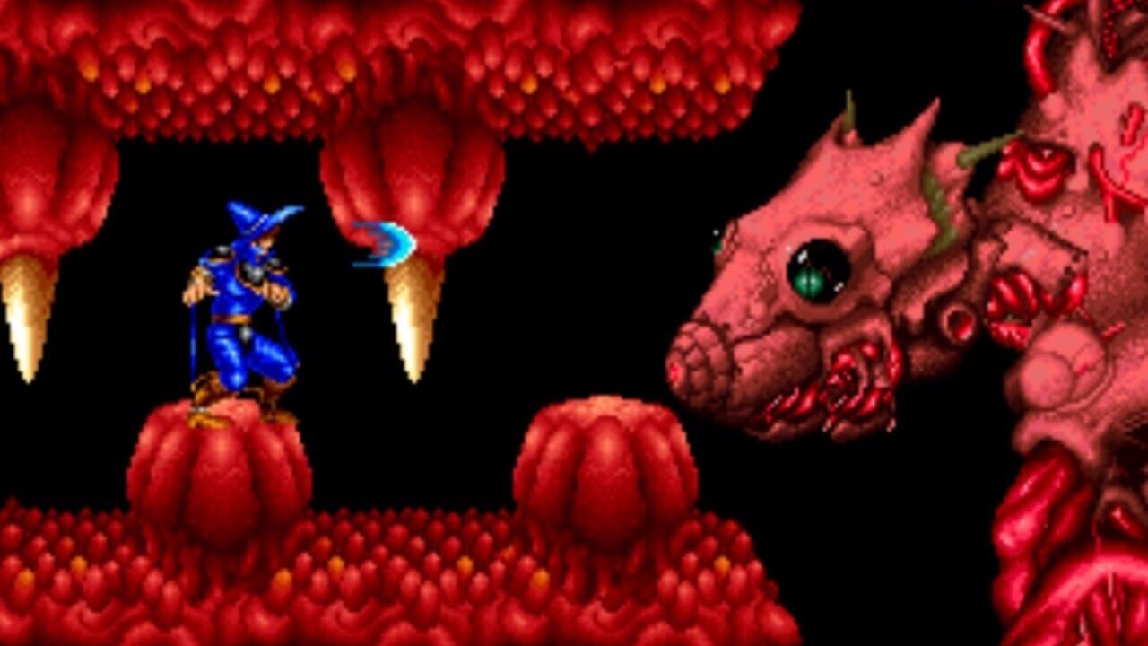 Screenshot for Magician Lord