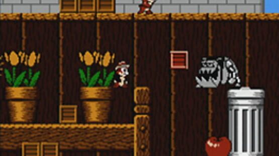 Screenshot for Disney's Chip 'n Dale Rescue Rangers
