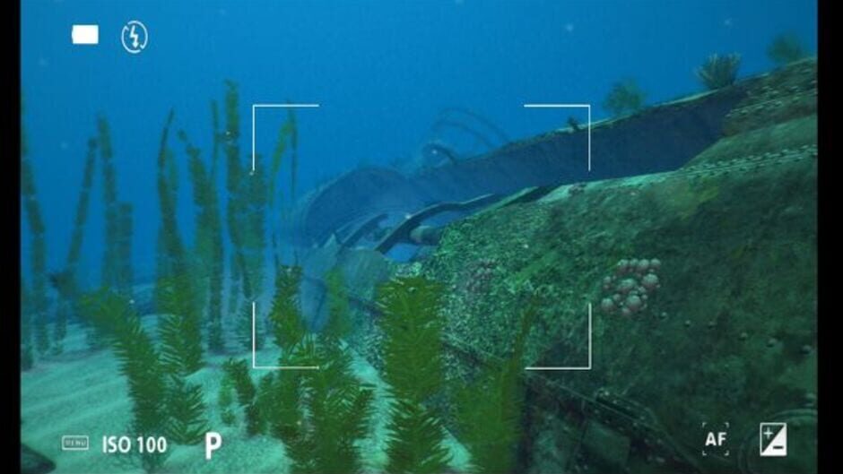 Screenshot for World of Diving