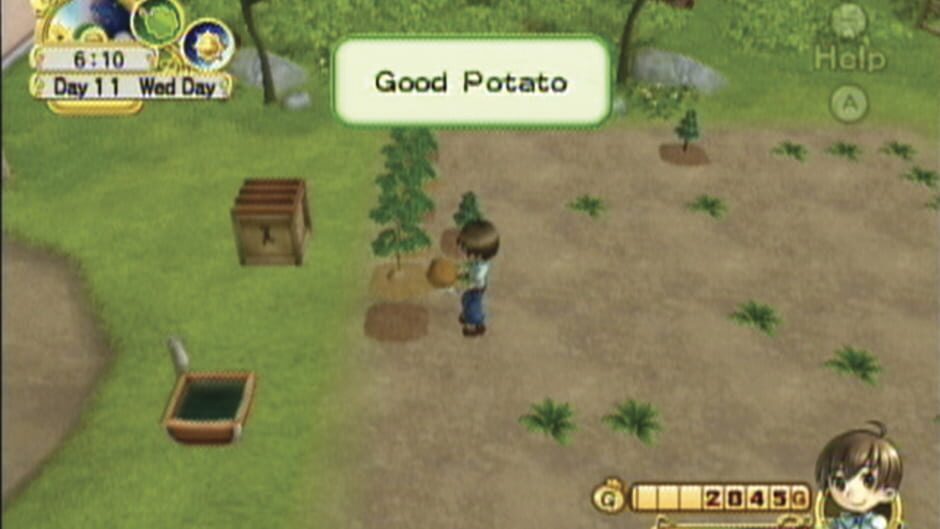 Screenshot for Harvest Moon: Tree of Tranquility
