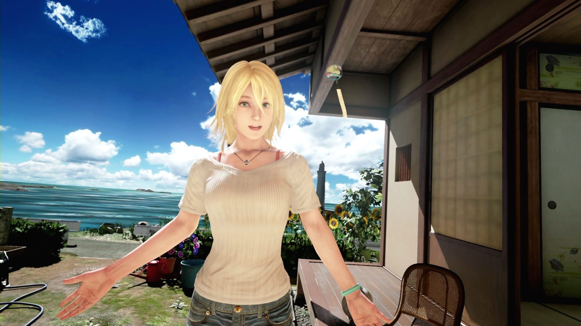 Screenshot for Summer Lesson