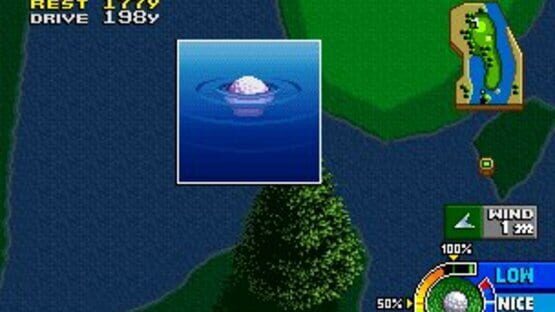 Screenshot for Neo Turf Masters
