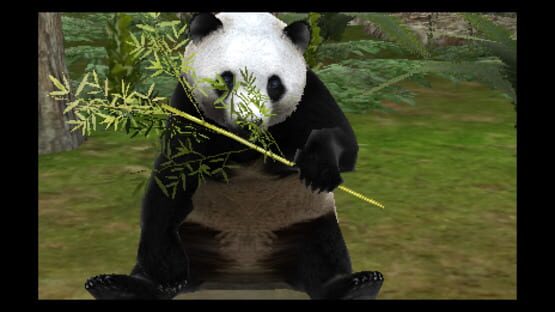 Screenshot for Zoo Resort 3D