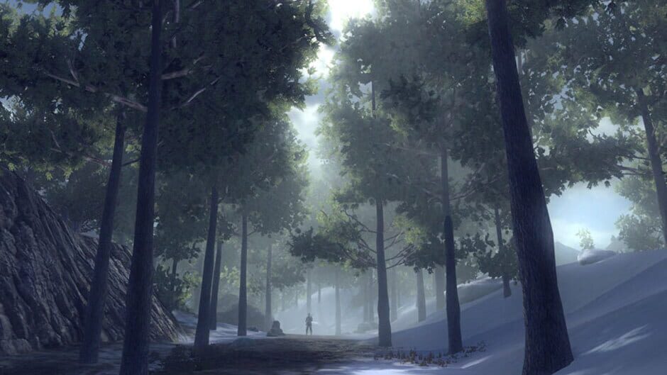 Screenshot for Darkest of Days