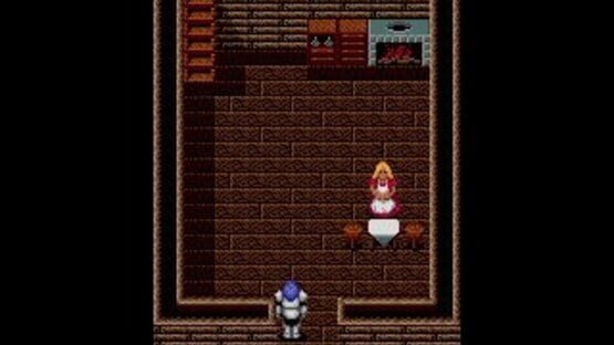 Screenshot for Sword of Vermilion