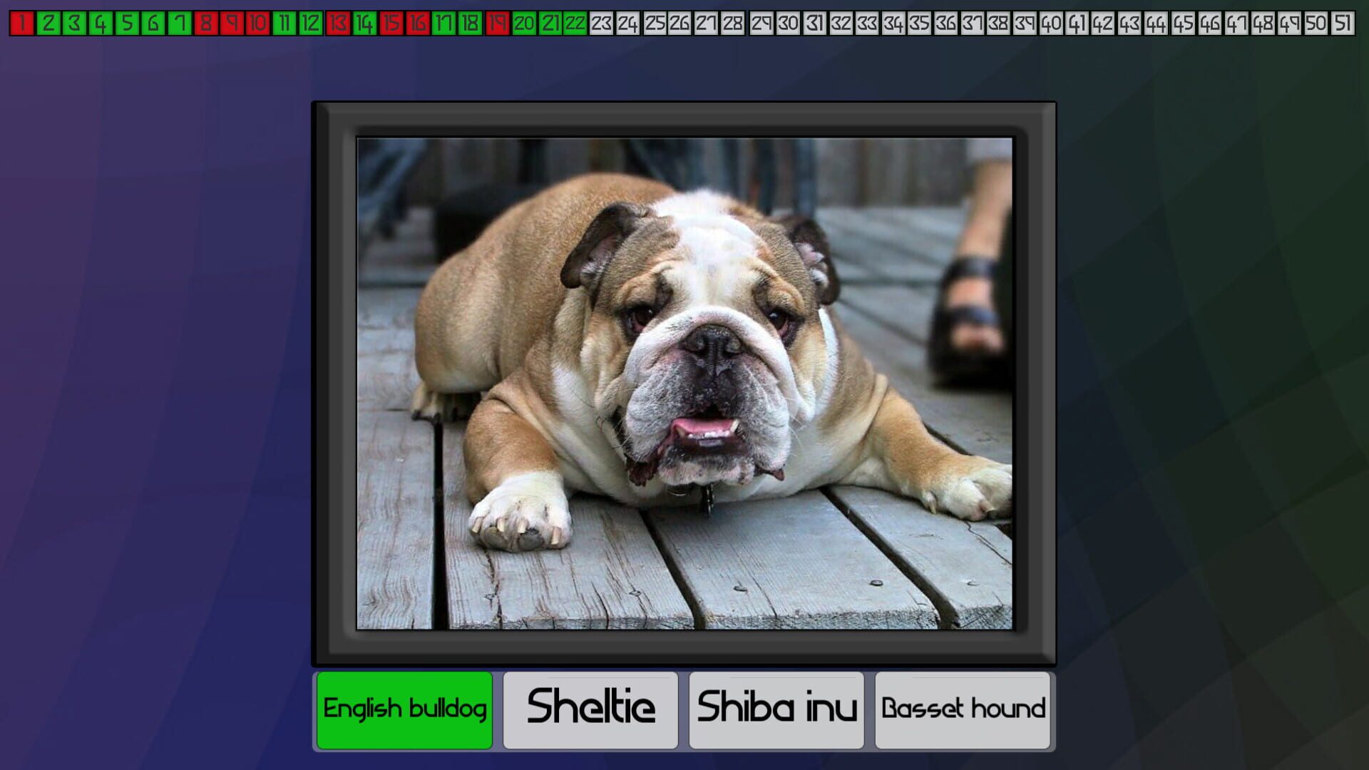 Screenshot for Test your knowledge: Dogs