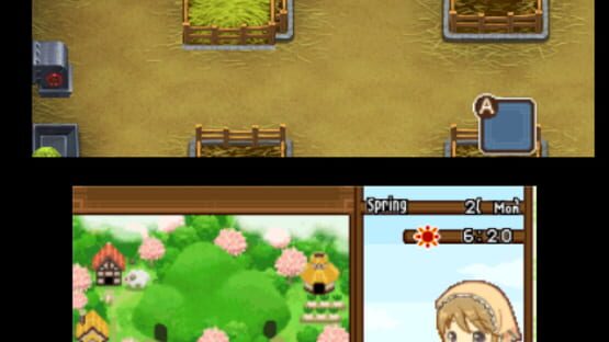 Screenshot for Harvest Moon: The Tale of Two Towns